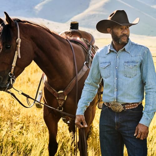 Stetson 7540 Skyline 6X Fur Cowboy Hat