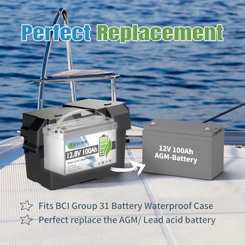12V 100Ah LiFePO4 Battery, Rechargeabel Deep Cycle Lithium Batteries, 100A BMS with Low-Temp Protection, Perfect for RV, Solar, Boat, Marine