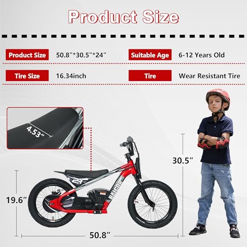 wanan Electric Dirt Bike for Kids 6-12 with Shock-Absorbing Front Fork, 250W Electric Motorcycle Up to 15.5MPH, 24V Detachable Battery, 16''
