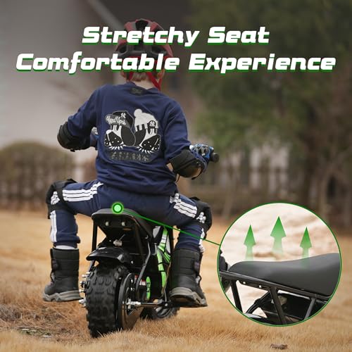 Electric Bike for Kids E Bikes Mini Dirt Bike Motorbike 250W 24V 9Ah Eletric Scooter Fast Dirtbike 2-Speed 10/12Mph 3-10 Old Teens Moped