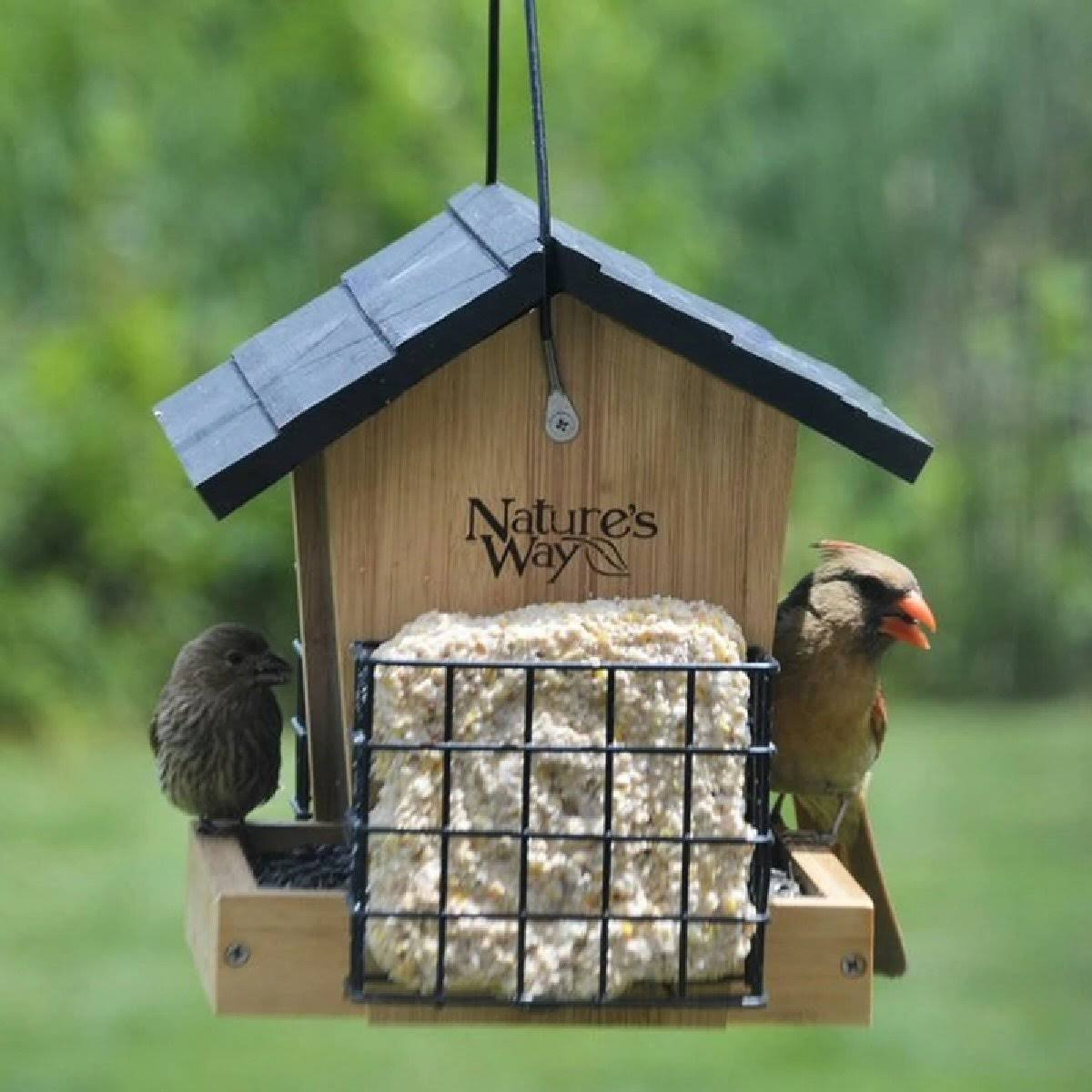 Natures Way Bird Hopper Feeder with Suet Cages, 4 Quart Cap - Bamboo