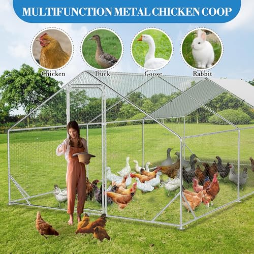 Large Metal Chicken Coop, Walk-in Poultry Cage