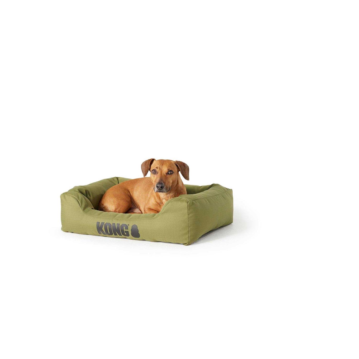 Kong 4-Sided Cuddler Dog Bed - Pet Supplies online store