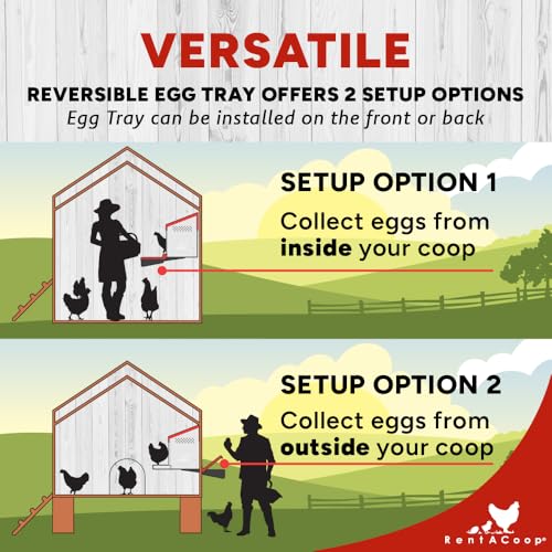 RentACoop Roll-Out Reversible Nesting Box Suite (3 Compartment) for Chickens, Ducks, Poultry