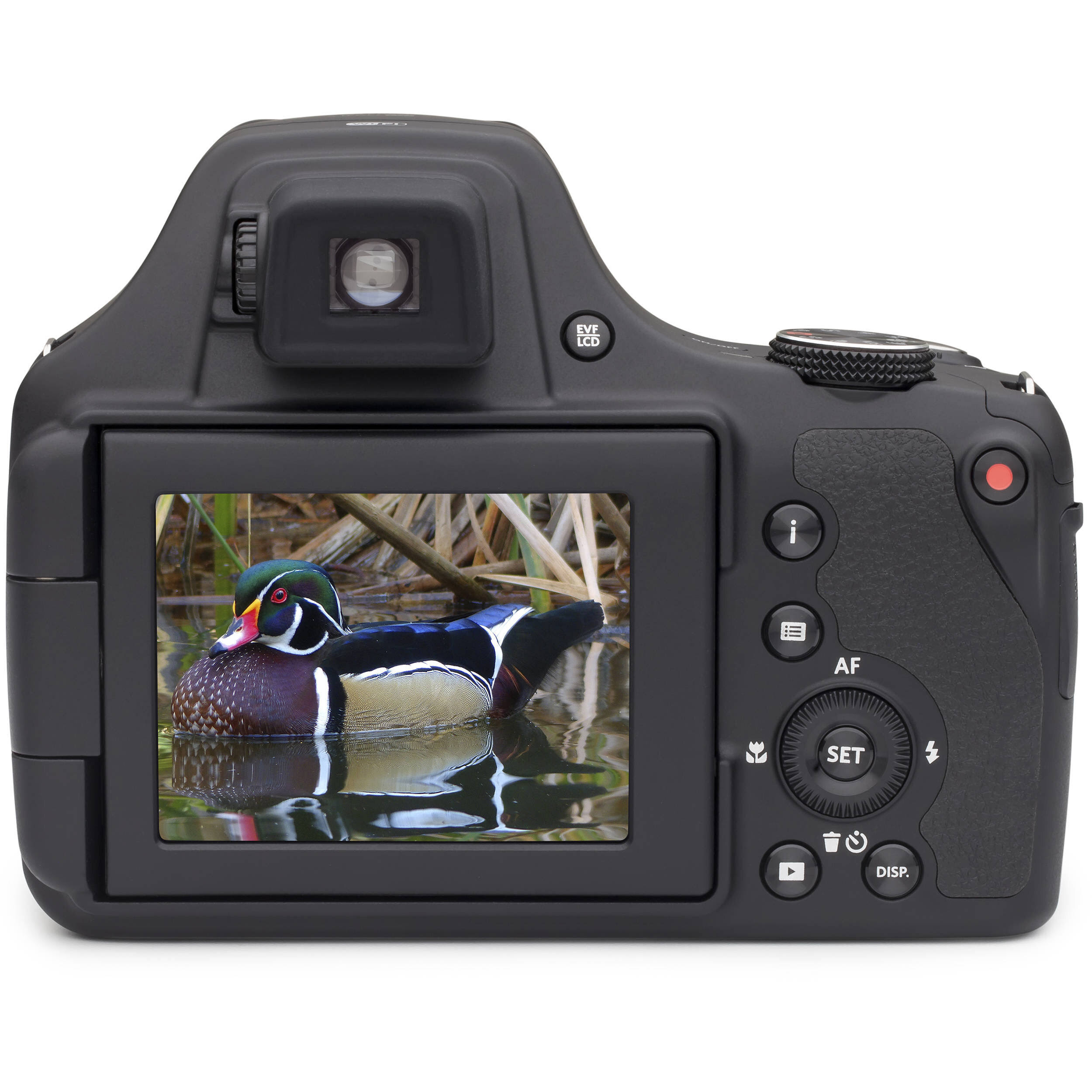 Kodak Pixpro Astro Zoom Digital Camera (AZ901), Black
