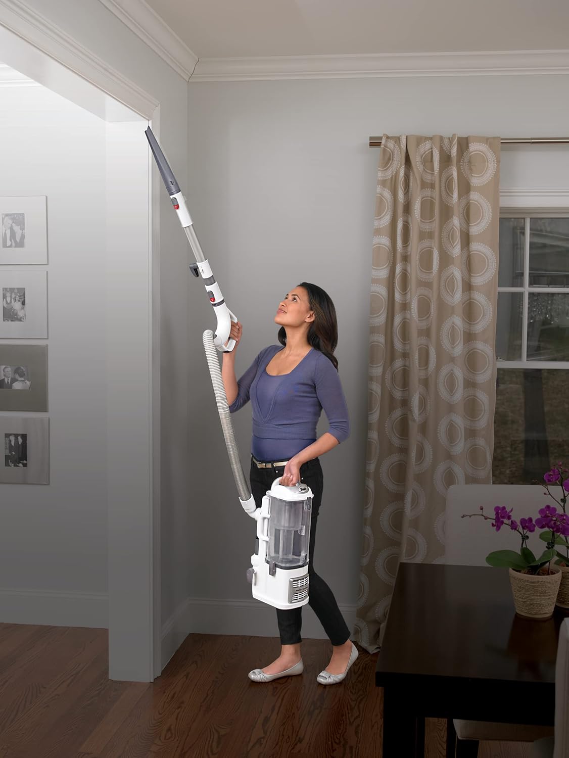 Shark NV358 Navigator Lift-Away Professional Bagless Upright Vacuum Cleaner, HEPA Filter, Powerful & Lightweight, Clean Carpet
