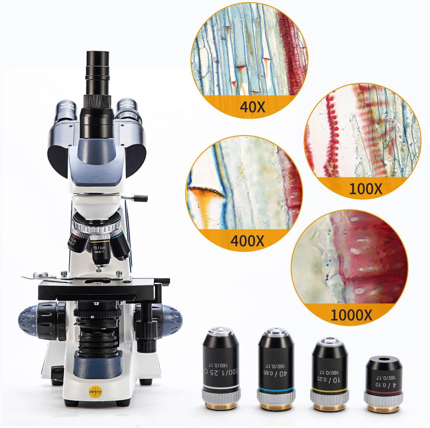 Swift Compound Trinocular Microscope SW380T,40X-2500X Magnification,Siedentopf Head,Two-Layer Mechanical Stage
