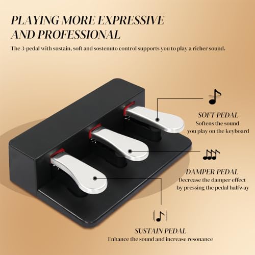 Ktaxon Digital Piano 88-Key Weighted Action Electric Piano with 3-Pedal Unit, Double Bluetooth, Split/Touch/Transpose Control Functions(Black)