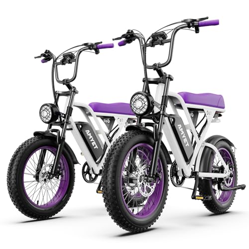 V9-G60 Peak 1500W Ebike, 48V 20Ah(960WH) Removable Battery, 72Miles &32MPH,20" Fat Tire Dirt Bike,7 Speed Gears,Dual Shock Absorber