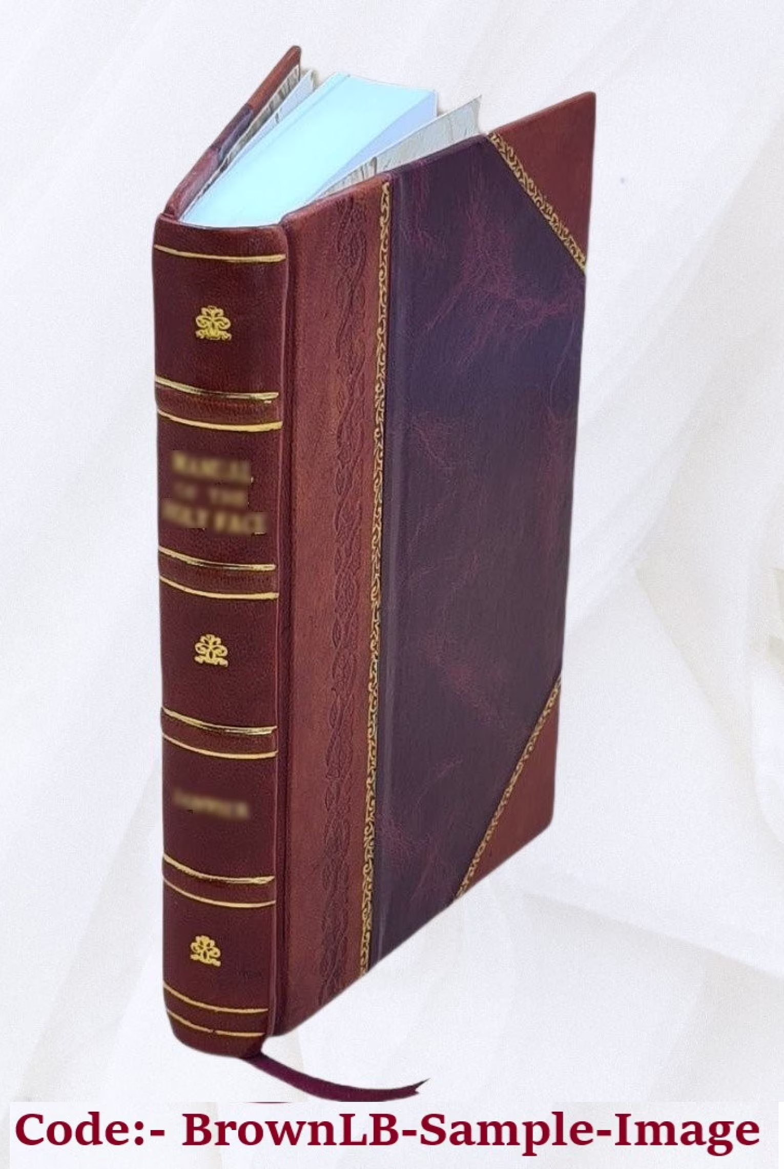 A Yacht Voyage Round England 1870 [Leather Bound]