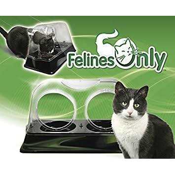 Felines Only the Purrrfect Cat Dish Veterinarian Designed Cat Feeding Bowl that Keeps Dogs Out of the Cat Food - Pet Supplies online store