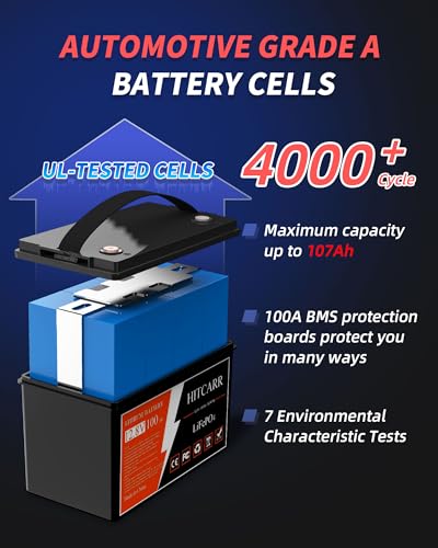 12V 100Ah LiFePO4 Battery, 12V Deep Cycle Rechargeable Lithium Iron Phosphate Rechargeable Battery with BMS perfect for Solar, Marine, RV