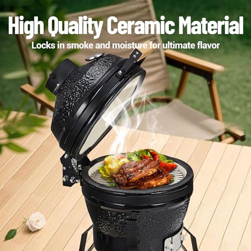 13-Inch Portable Ceramic Charcoal Grill with Grill Stand, Egg Shaped Ceramic Charcoal Grill w 10.6" Stainless Steel Cooking Grate