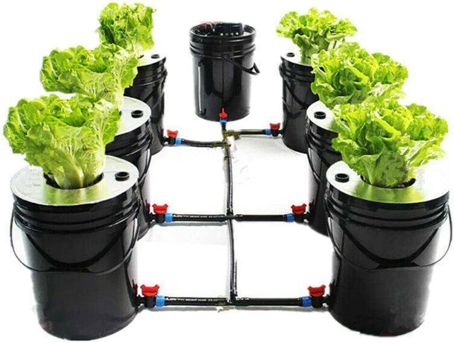 DWC Hydroponics Growing System, 7 Buckets 5 Gallon Recirculating Deep Water Culture