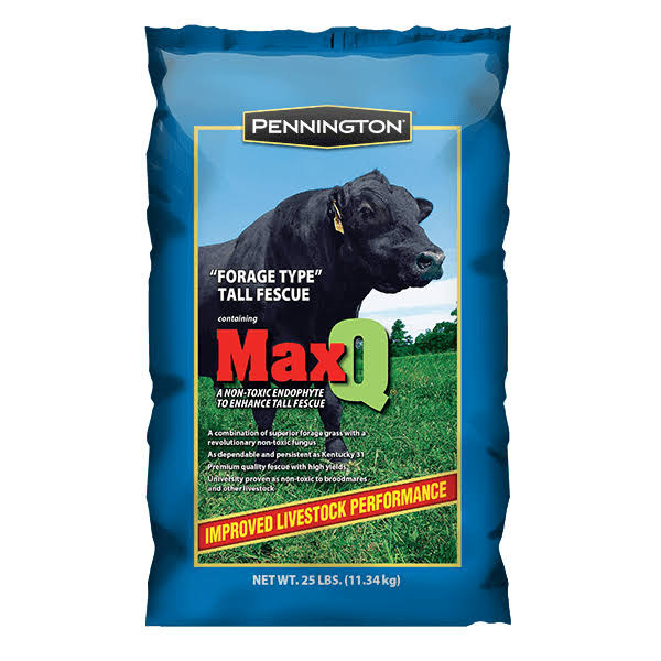 Pennington MaxQ Jesup Forage Tall Fescue