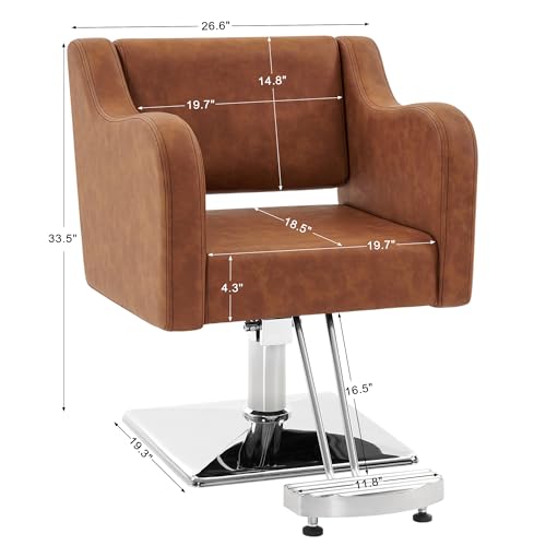 BarberPub Classic Salon Chair for Hair Stylist,Hydraulic Barber Styling Chair,Beauty Salon Spa Equipment 3802 (Grey)