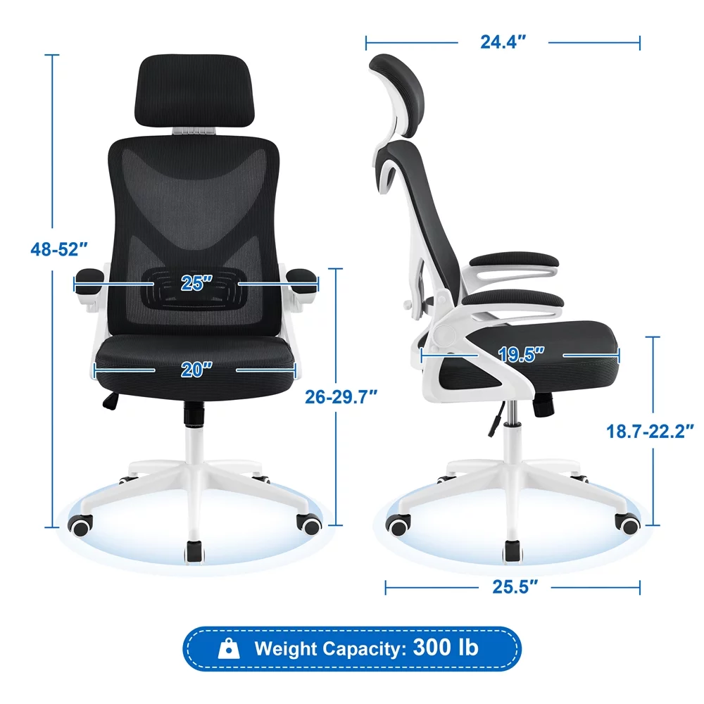 Alden Design Ergonomic Mesh Office Chair with High Back, Black