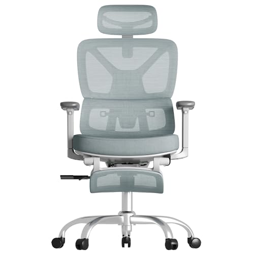 FLEXISPOT ErgoX Premium Ergonomic Office Chair with Footrest- Adjustable 3D Armrests, Dynamic Lumbar Support, Recline & Tilt Function, Mesh Seat