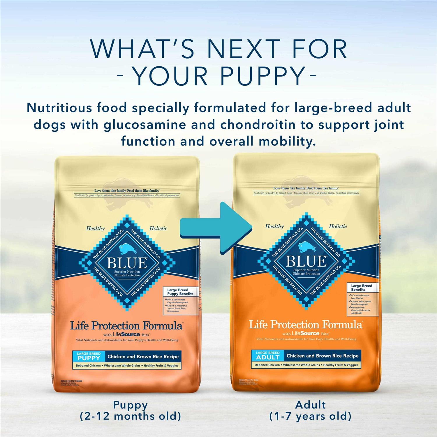 Blue Buffalo Life Protection Formula Large Breed Puppy Chicken &amp; Brown Rice Recipe Dry Dog Food - Pet Supplies online store