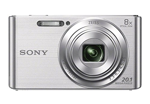 Sony DSCW830 20.1 MP Digital Camera with 2.7-Inch LCD (Silver)
