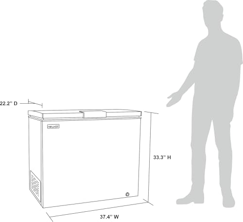 Newair 13.8 cu. ft. Upright Freezer, Fridge Freezer Convertible, Garage Ready Refrigerator, Frost Free Freezer with Door Alarm, Stand up Deep Freezer