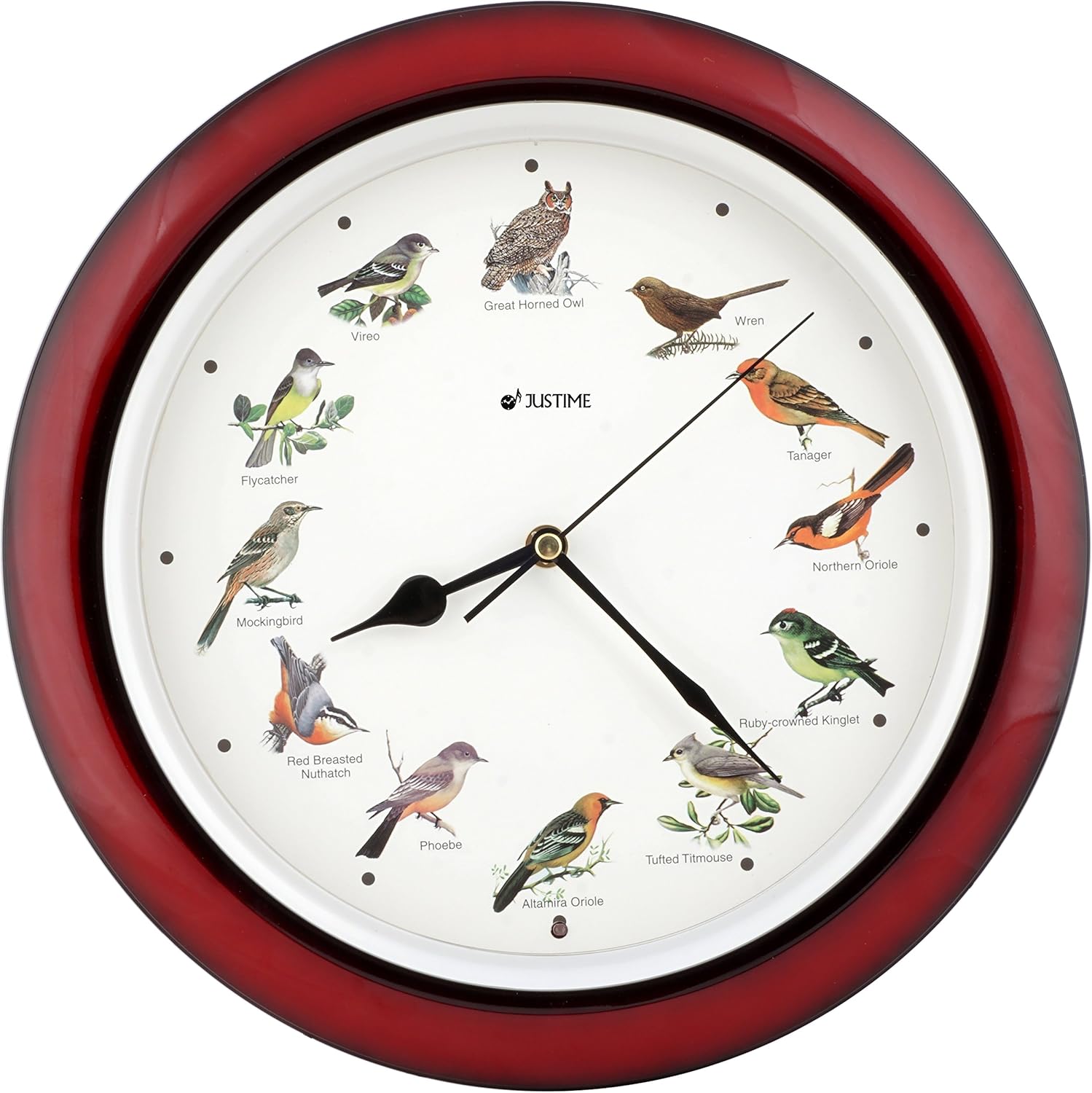 JUSTIME Lovely Collection 14-inch Plays 12 Popular North American Bird's Songs Wall Clock Mantel Clock Home Deco Multicolor(TCBD-OWL-R Dark Red)