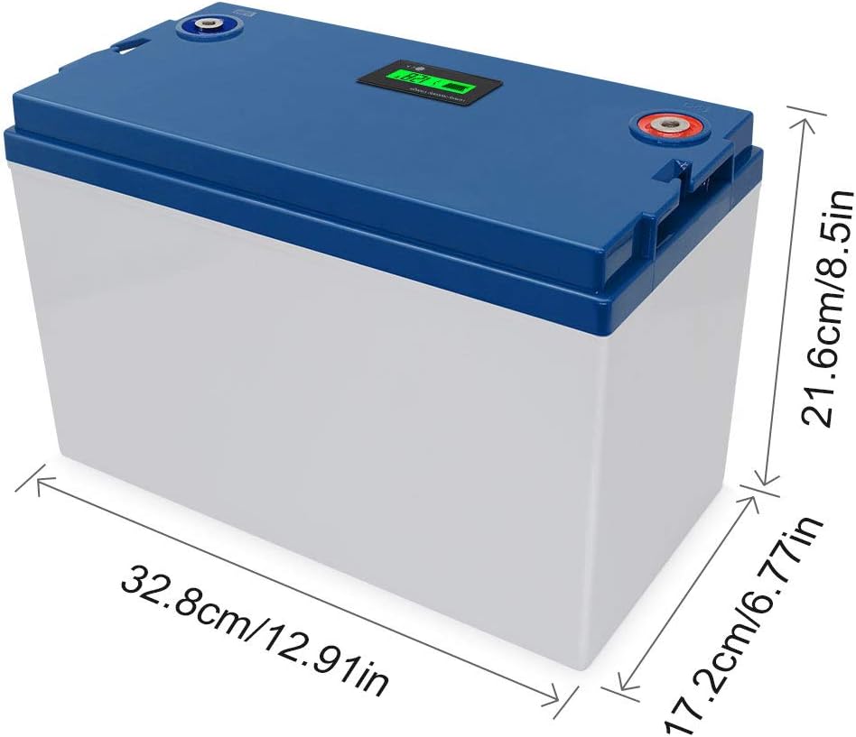 TalentCell Rechargeable 12V 100Ah Lithium Iron Phosphate (LiFePO4) Deep Cycle Battery Pack, Over 2000 Cycles