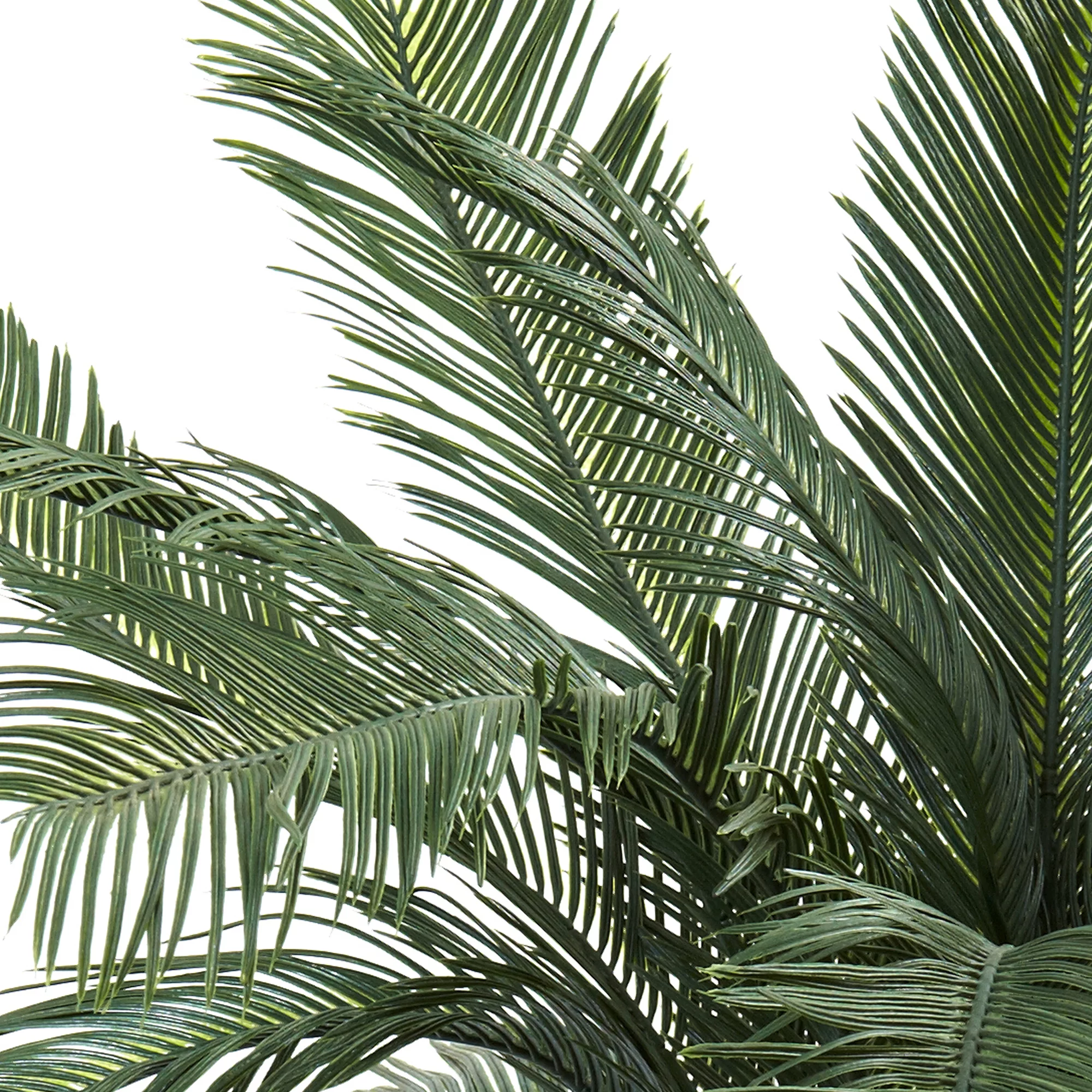 Nearly Natural 4ft. Cycas Artificial Tree UV Resistant (Indoor/Outdoor)