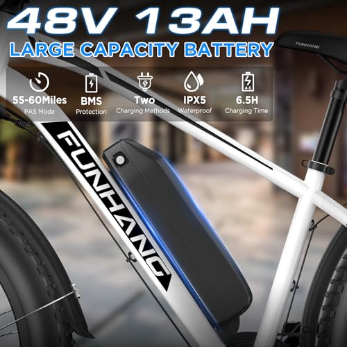 Electric Bike for Adults, 1000W Peak Ebike, 25MPH 60Miles Electric Mountain Bike, 26" Fat Tire Electric Bicycle with 48V 13AH Battery, Rear Rack