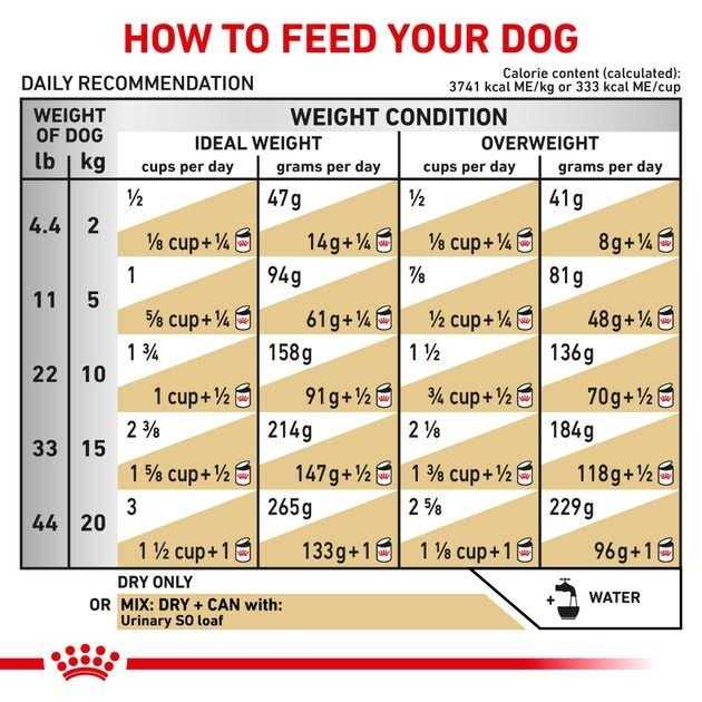 Royal Canin Veterinary Diet Canine Urinary SO Dry Dog Food - Pet Supplies online store