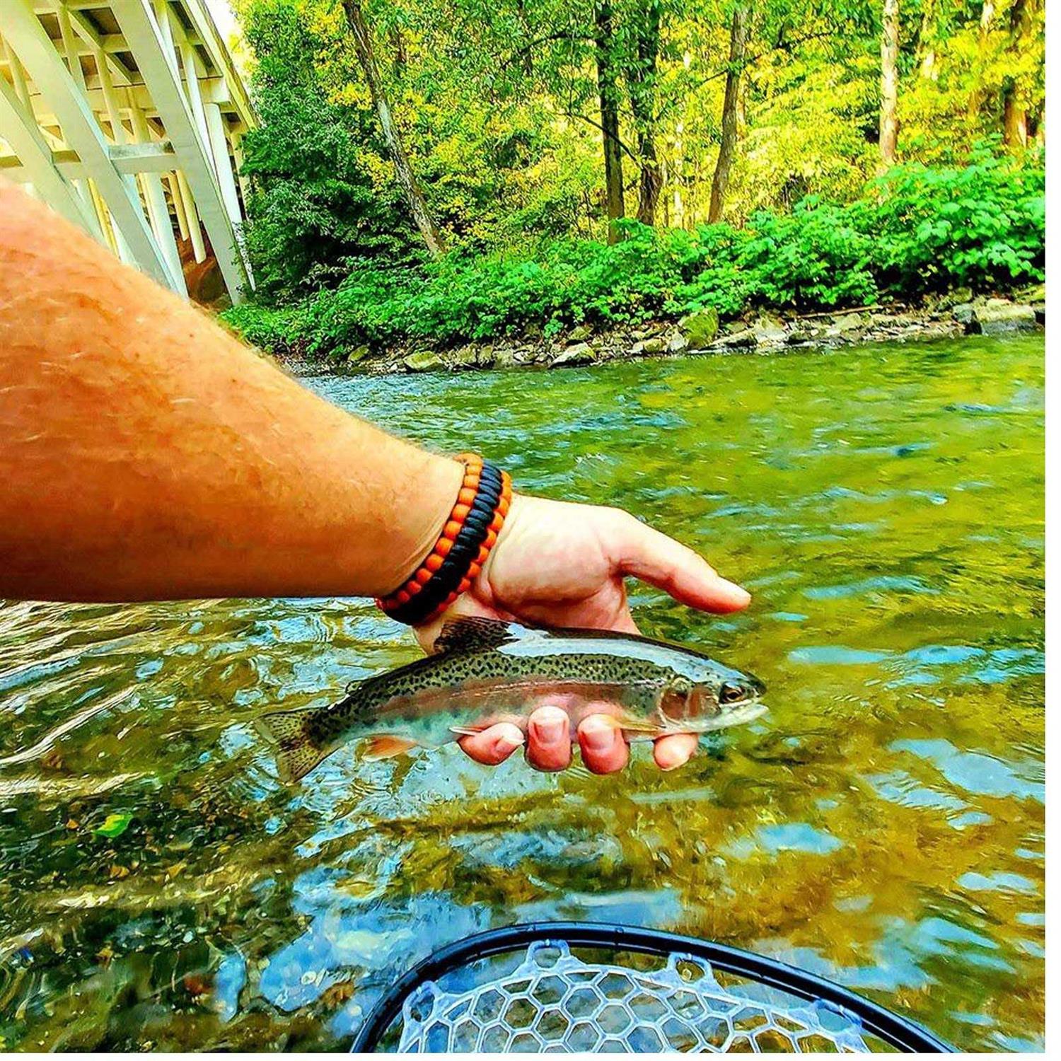 Aventik Fly Floating Fishing Net Carbon Fiber Landing Trout Net Light Weight Clear Rubber Ghost Net Catch &amp; Release Net