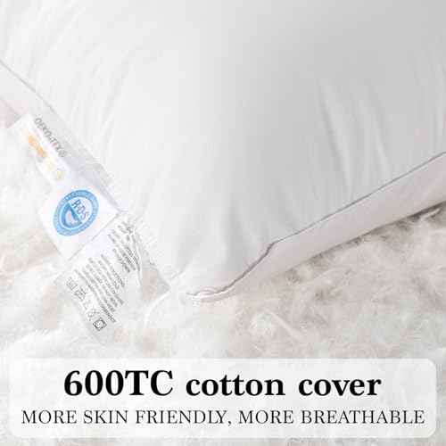 Shilucheng Goose Down and Feather Pillows Queen Size Set of 2 Pack, Luxury Hotel Quality Bed Pillows for Side Back Stomach Sleepers