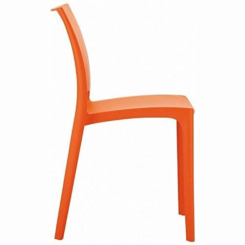 Compamia Maya Dining Chair - Set of 2 Tropical Green