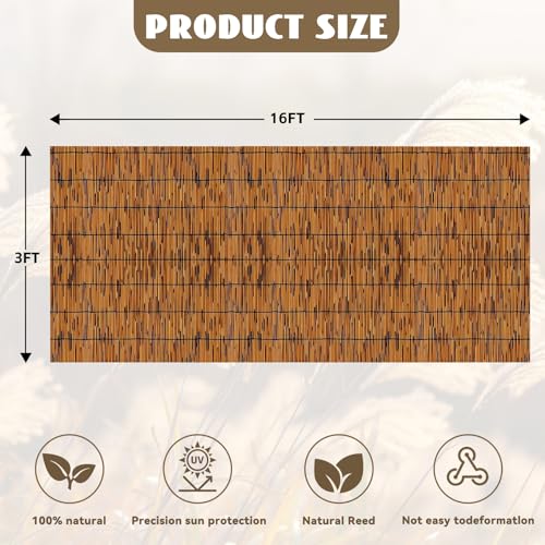 Bamboo Reed Fencing, Light Russet Bamboo Fence Rolls 6 Feet High