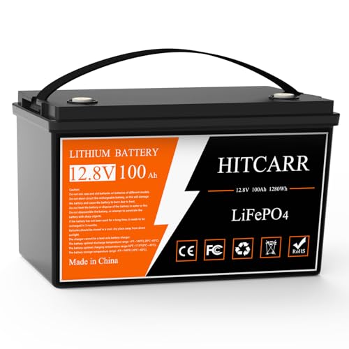 12V 100Ah LiFePO4 Battery, 12V Deep Cycle Rechargeable Lithium Iron Phosphate Rechargeable Battery with BMS perfect for Solar, Marine, RV