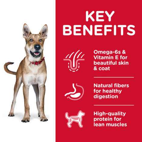 Hill's Science Diet Adult Chicken &amp; Barley Recipe Dry Dog Food - Pet Supplies online store