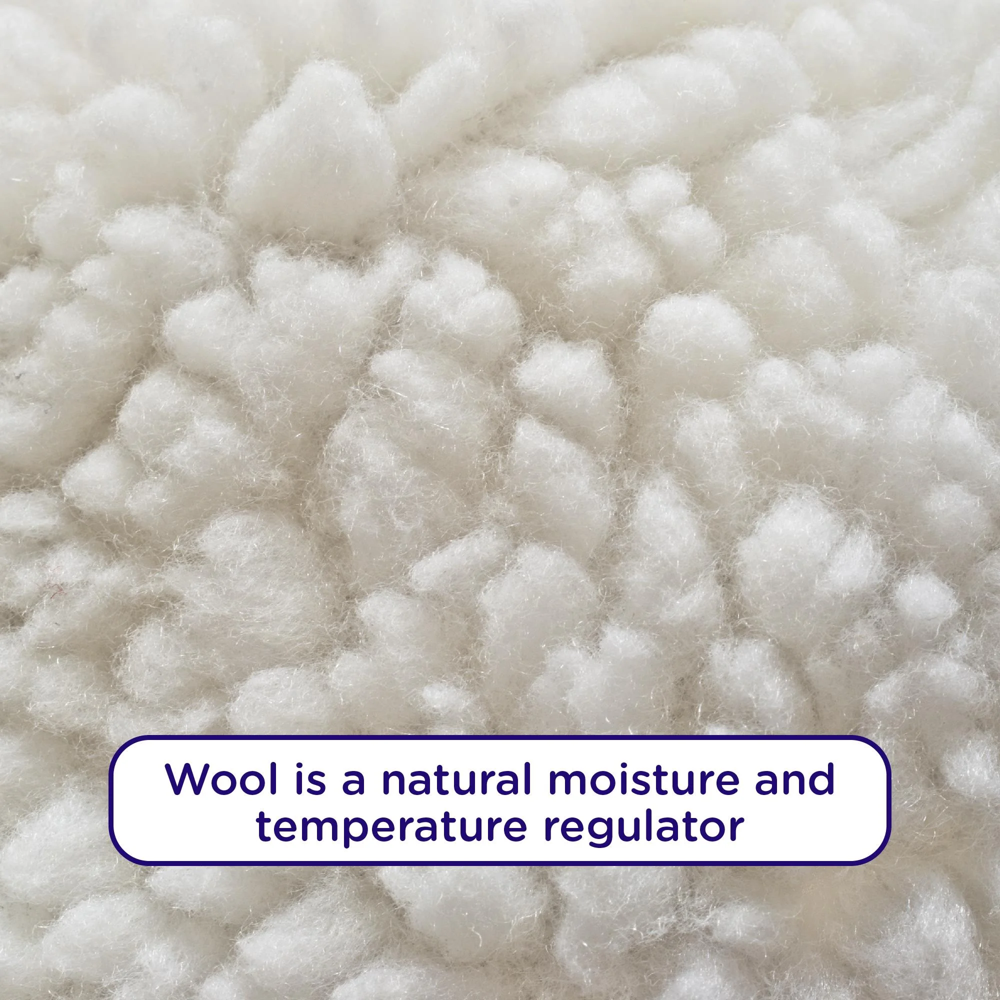 Signature Sleep Honest Elements 7" Natural Wool Mattress with Organic Cotton and Micro Coils, Twin Size, [bed_twin] - Curated Treasures Market