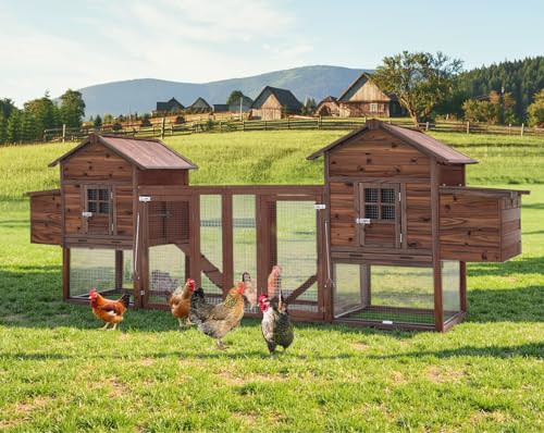Large Wooden Chicken Coop, 160IN Outdoor Chicken Cages and Run with Nesting Boxes & Removable Tray for 2-8 Chickens