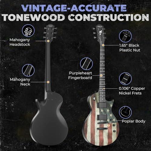 Fesley 39" LP Electric Guitar Kit: Full Size Solid Body Electric Guitars for Beginners with Humbucker Pickups,Poplar Body,Mahogany Neck,22 Frets