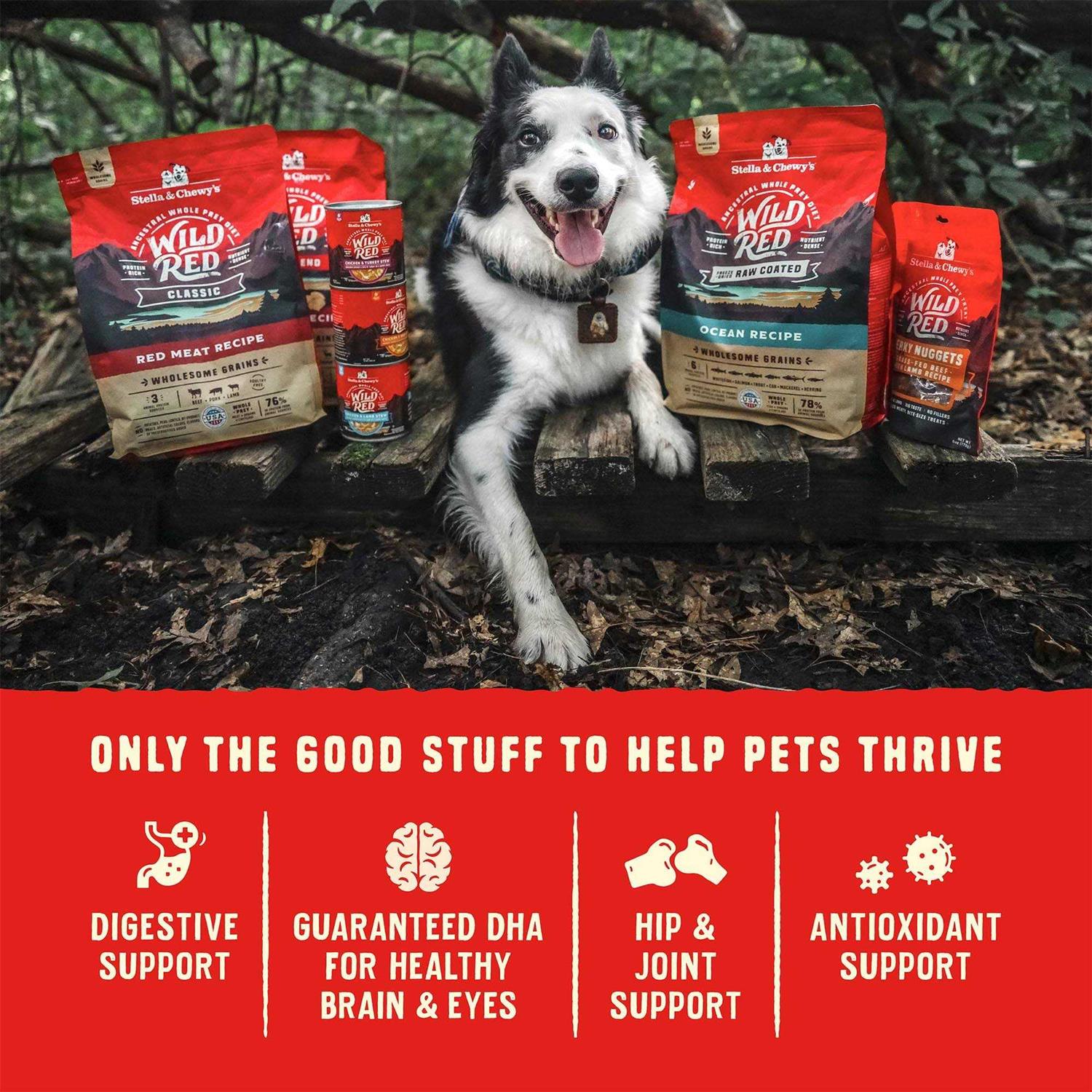 Stella &amp; Chewy's Wild Red Dry Dog Food Raw Coated High Protein Grain Free Recipe - Pet Supplies online store