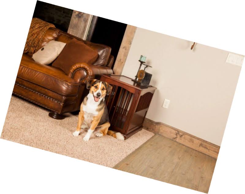 Primetime Petz End Table Crate Medium