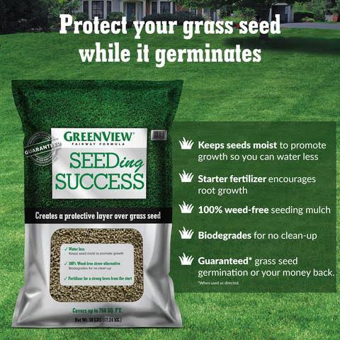 Greenview 2829348 Fairway Formula Grass Seed Turf Type Tall Fescue Sun u0026 Shade Blend, 20 lb
