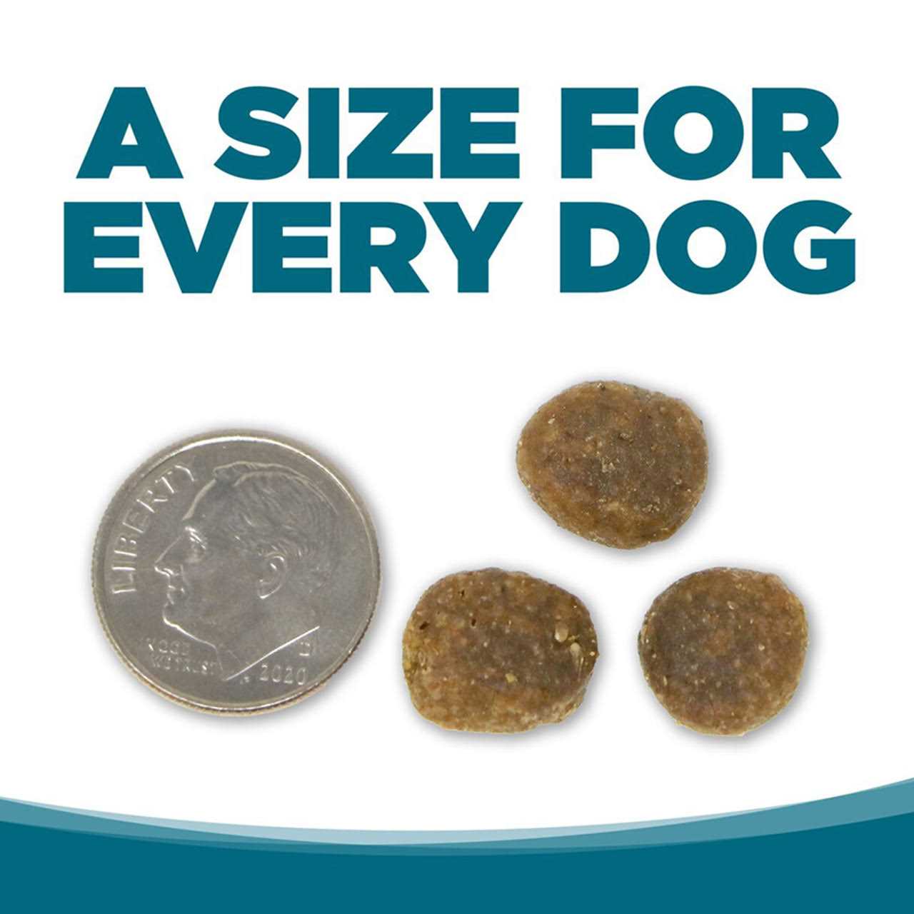 NutriSource Grain Free Chicken &amp; Pea Dry Dog Food - Pet Supplies online store