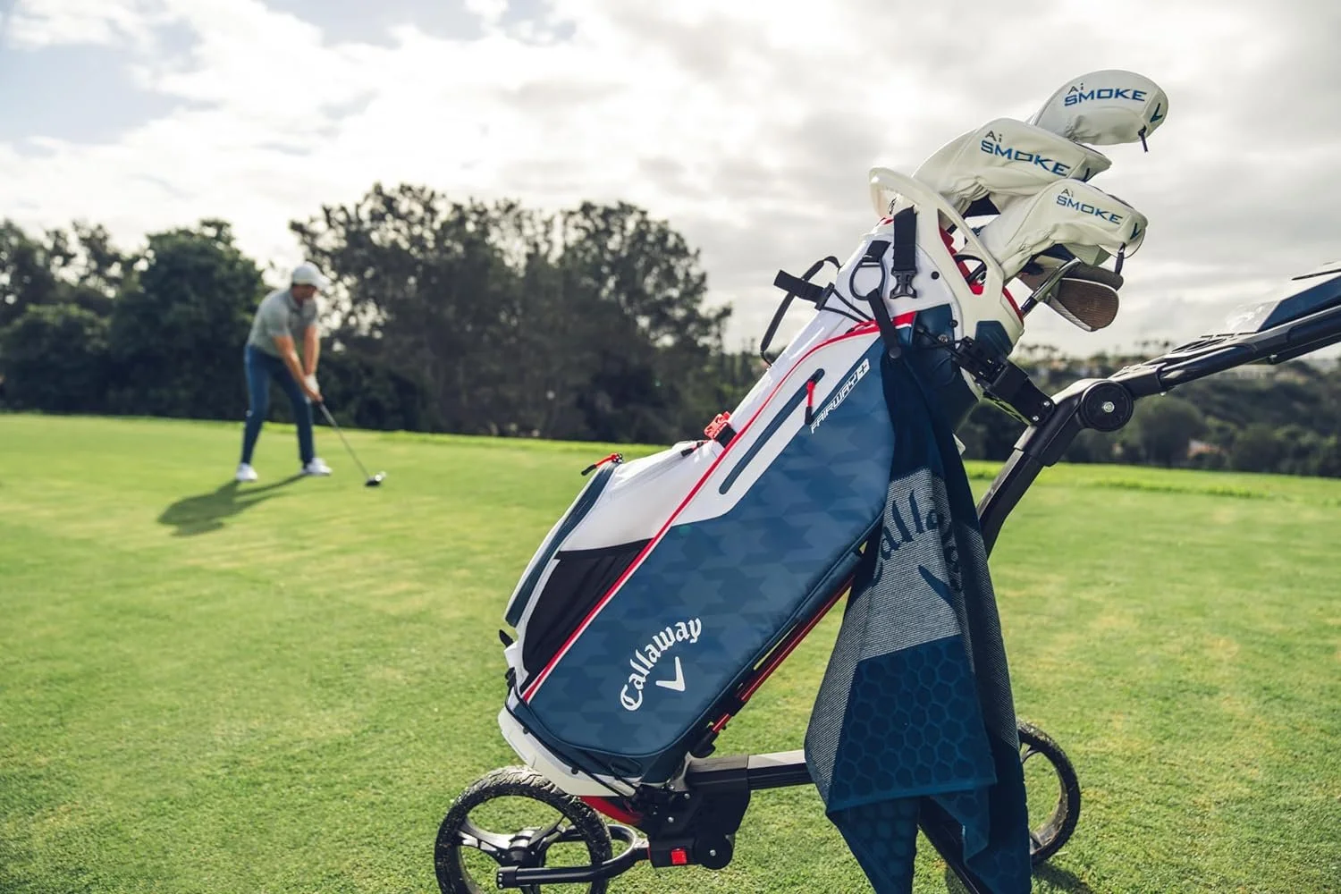 NEW 2024 Callaway Fairway+ Black Double Strap Stand/Carry Golf Bag - Curated Treasures Market