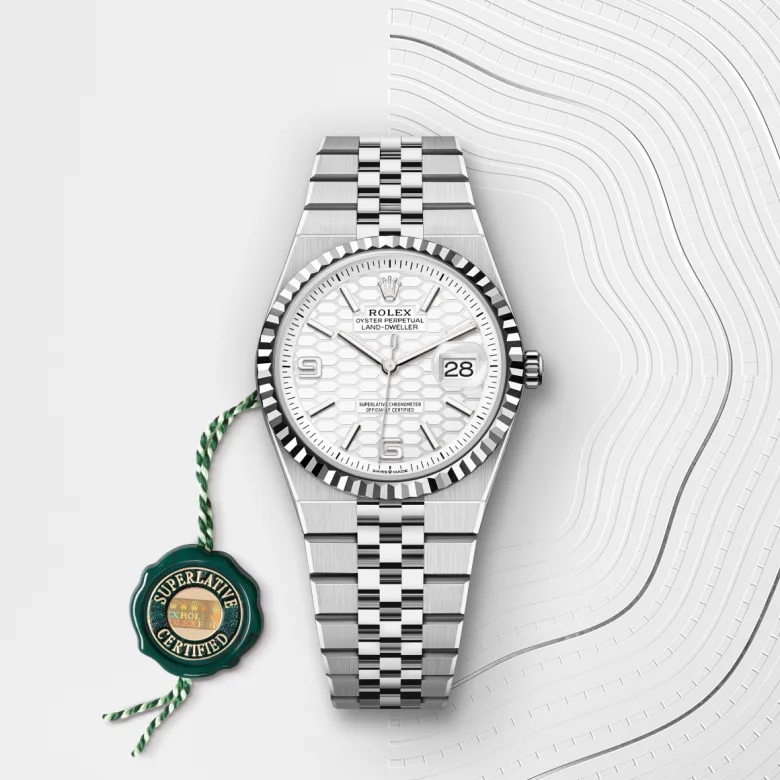 Land-Dweller Oyster, 40 mm, Oystersteel