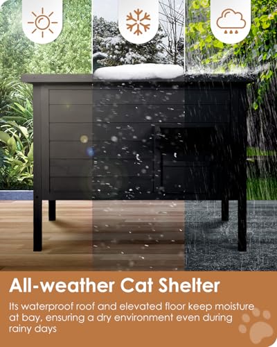 Ivy&Lane Outdoor-Cat-House | Insulated-Feral-Cat-Shelter | Weatherproof | for Winter | Foam & Wood | Large | for Multiple Cats | Fold-up Stair |