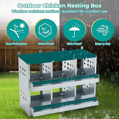 Chicken Coop Nesting Boxes, Wall Mountable Metal Chicken Nesting Box, Easy Egg Collection Roll Away Nesting Boxes Chicken