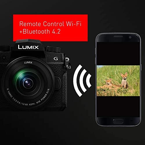 Panasonic LUMIX G95D 20.3 Megapixel Mirrorless Camera, 12-60mm F3.5-5.6 Micro Four Thirds Lens, 5-Axis Dual I.S. 2, 4K 24p 30p Video