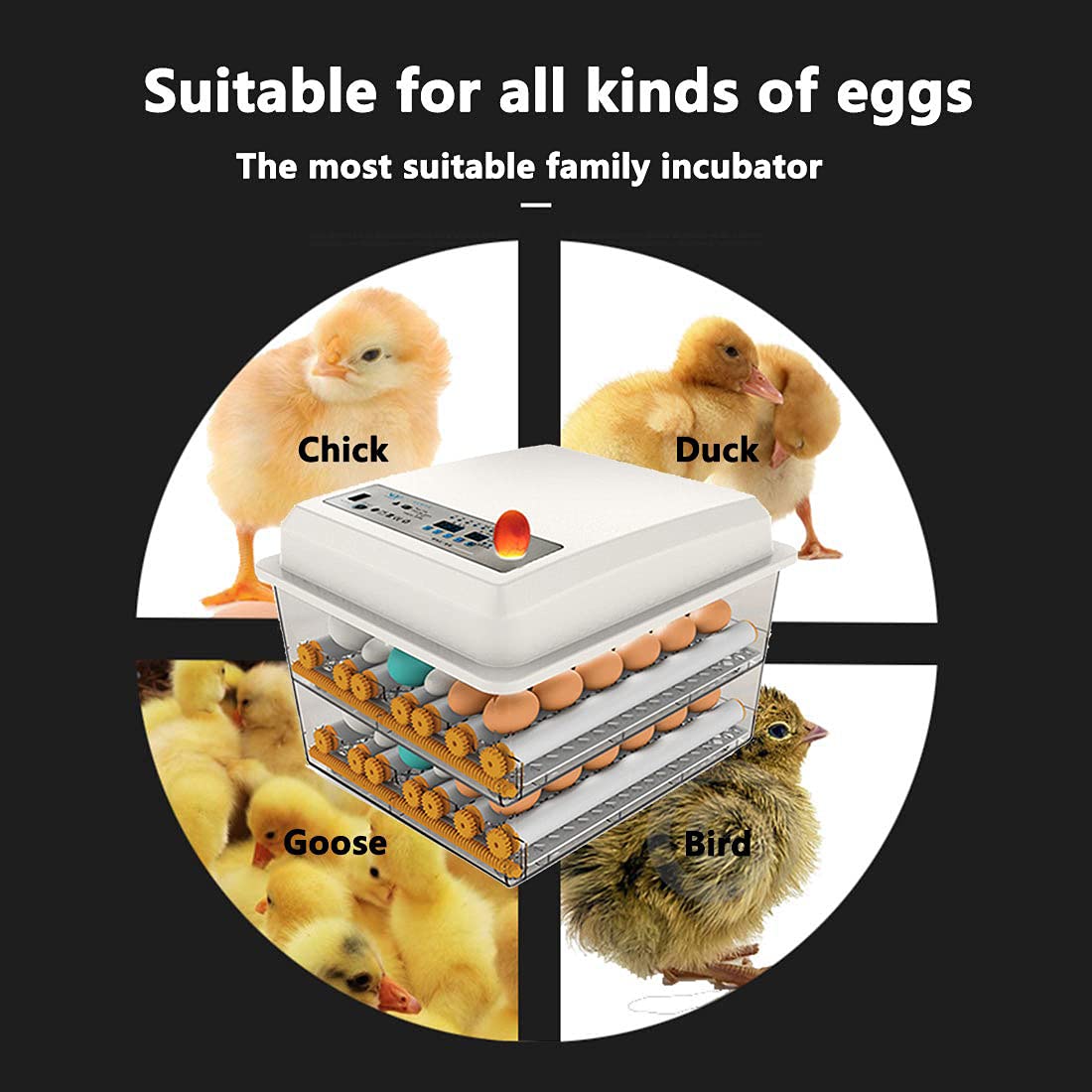 JAEDO 170 Egg Incubator Poultry Hatcher with Fully Automatic Egg Turning and Temperature Humidity Control for Chickens Ducks Goose Birds