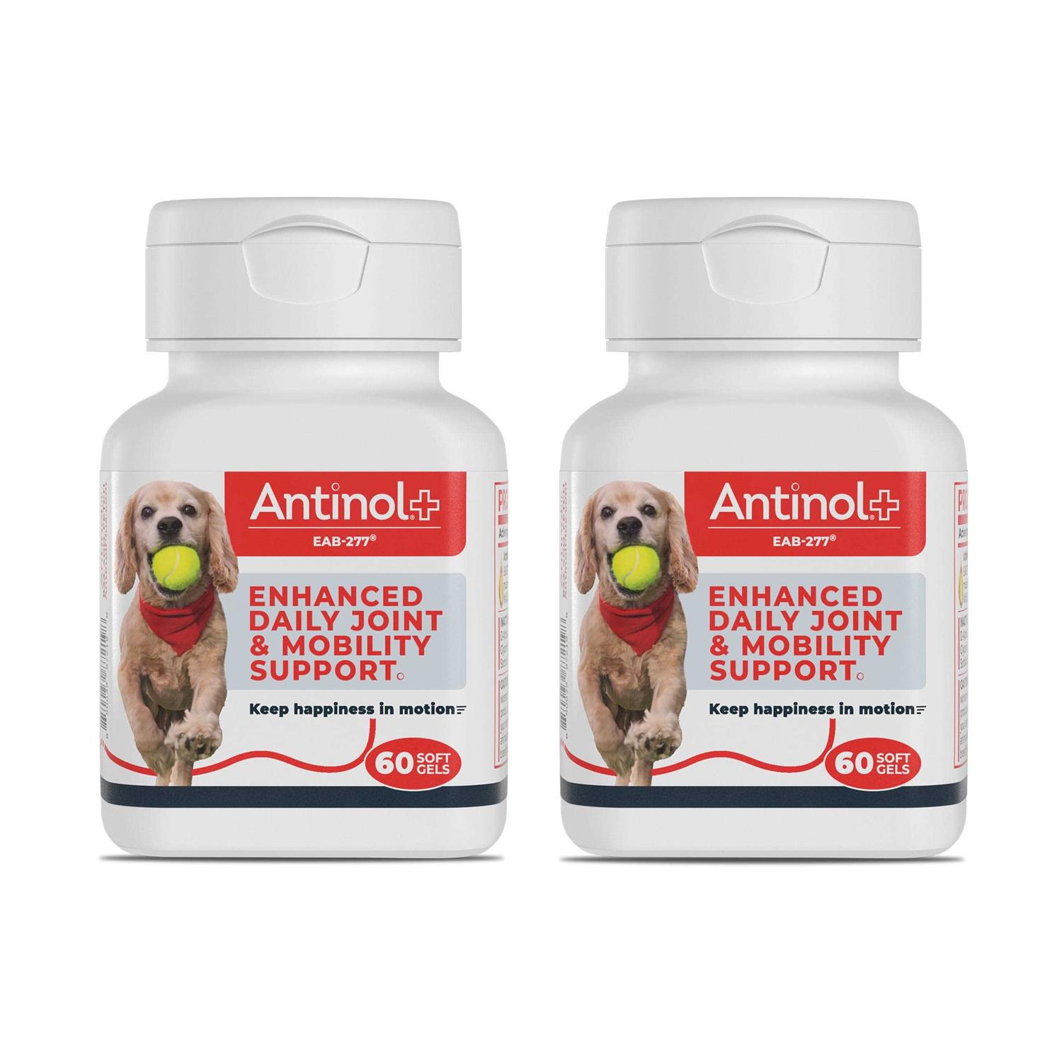 Antinol Plus, Mobility, Hip, and Joint Supplement for Dogs, Green-Lipped Mussels and Krill Oil - Pet Supplies online store